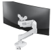 Lenovo Services AM210 GR Single Monitor Arm
